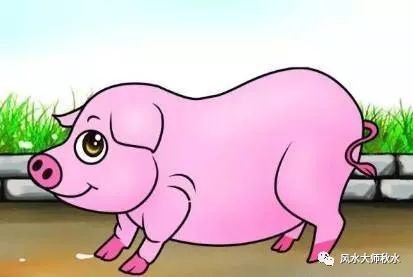 属猪的2025年运势时辰吉凶具体是什么？