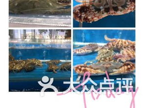 掘港的海风， 乱七八糟的海鲜狂想曲