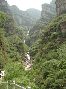精彩项目较大揭秘