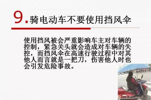 青鸟之命究竟是什么意思，算命先生口中这个神秘的命理究竟有何深意？