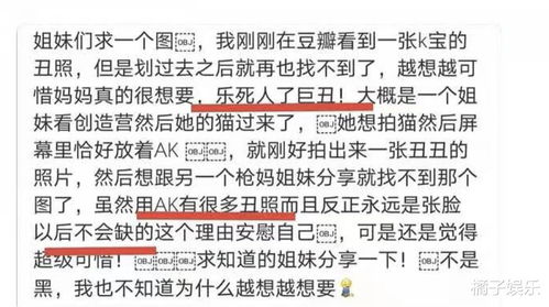 1.2 “接地气=好记”?别逗了,有时候直白也能翻车
