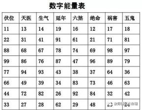 3. 楼层数字与命运：84年 vs 96年属鼠人的差别