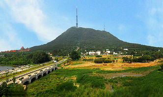 1. 小麦岛的草和风