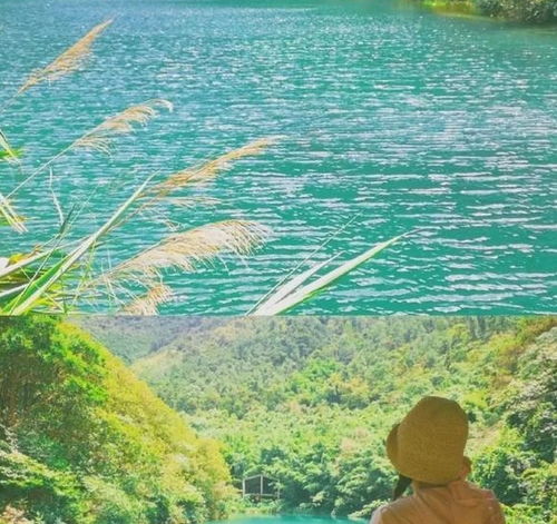 紫谷， 大自然的秘境之地