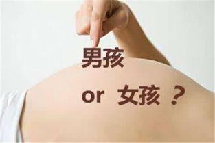 子女缘分：两男一女？还是乱七八糟？