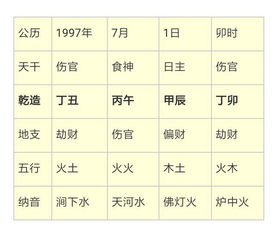 一、2025年07月31日20时出生的宝宝八字分析
