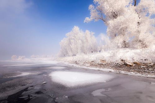 东北的冬季，  一场未知的冰雪奇缘