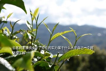 凤凰窝古树茶：茶香四溢， 韵味悠长