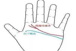 手相中好事多是不是意味着大难不死的人运势更好？