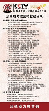 二、 牛年与金牛座：稳重与冲动的混搭实验