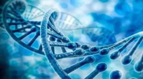 震惊！2026年种生基竟然要这样搞才能发财