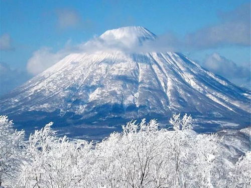 春季限定：残雪拌樱花の死亡美学