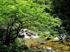 如果你不想爬山，只想玩水，那怎么办？