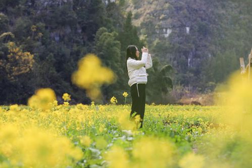 2.1 油菜花海， 金色的海洋