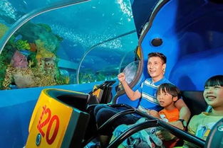 与海洋生物亲密接触