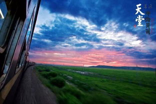 走进自然：感受大自然的馈赠