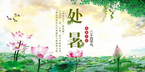 处暑秋韵，风俗盛行，秋意渐浓爆款来袭！