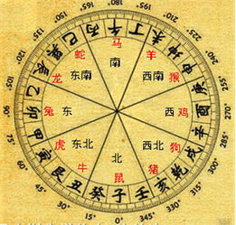 十二生肖与文昌位的秘密联系