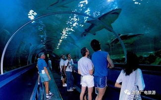 3. 上海海洋水族馆：海洋生物的奇幻之旅 (鱼真的好多啊！)