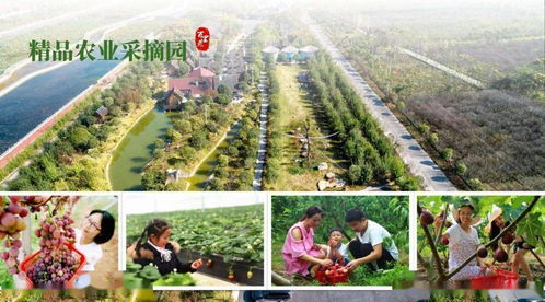 第二条：“果香与农事” 的沉浸式路线