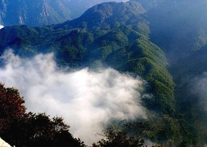 11月九华山旅游吉日和旅游禁忌有哪些？