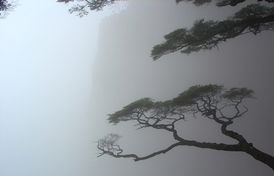 那是一个普通的夜晚