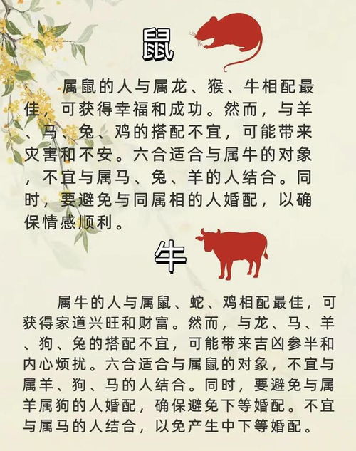 丙申日中哪一天最适合作为吉日？