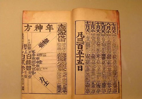 一、 旋的起源——古老的脑髓旋涡