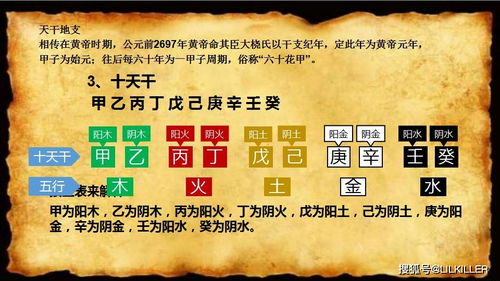 寅虎：威風凜凜？還是落荒而逃？
