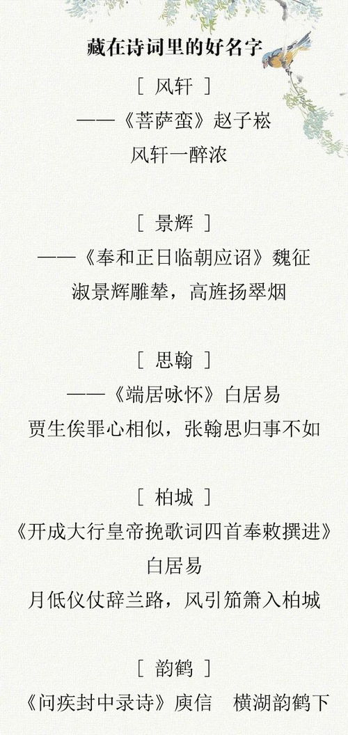 诗句？谁在乎啊！