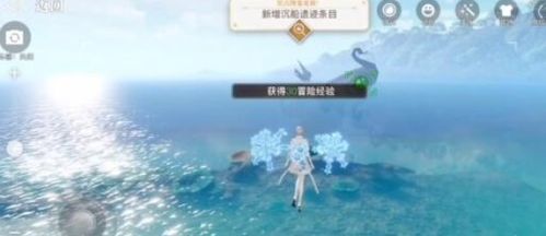 可能的寻觅地点：从风水到星座