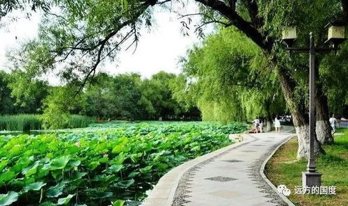 哈尔滨周边陵园价格,哈尔滨陵墓