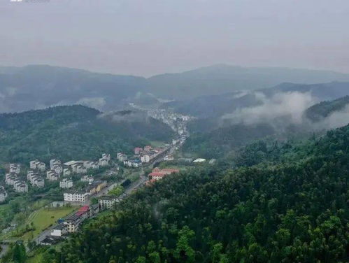 从淄博滚到安远的魔幻现实主义漂流记