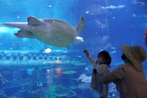 惊天大秘密：这样玩才最爽！