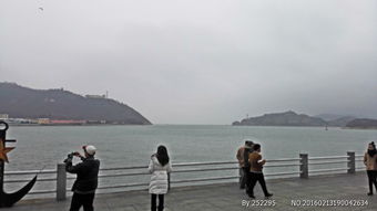 一、特惠来了！大连旅顺景区周一至周五门票到底有没有优惠？