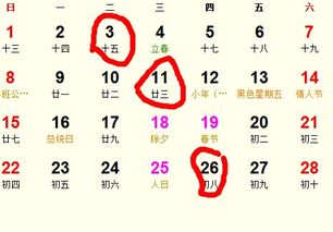 生肖方面：八仙过海各显神通