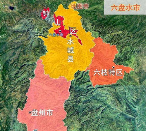 霍城县的“宝贝”：薰衣草和四爪陆龟