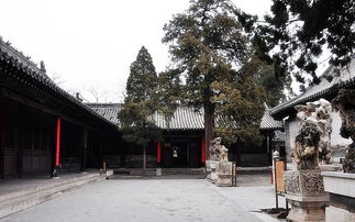 曲阜：孔子的味道