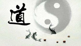 童子命的日常：活着就是受罪