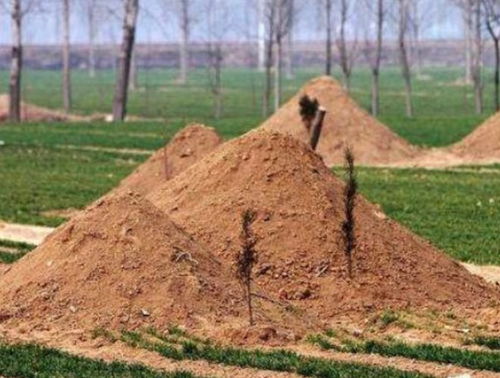 风水秘术：如何准确断定风水吉凶？