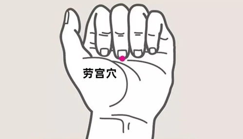 1. 风水里“气”与身体身体健康状况的关系（没啥科学研究依据， 但说起来很酷）