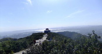 购票渠道——乱中有序的“抢票”狂欢