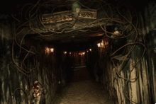 那些关于医院的恐怖故事