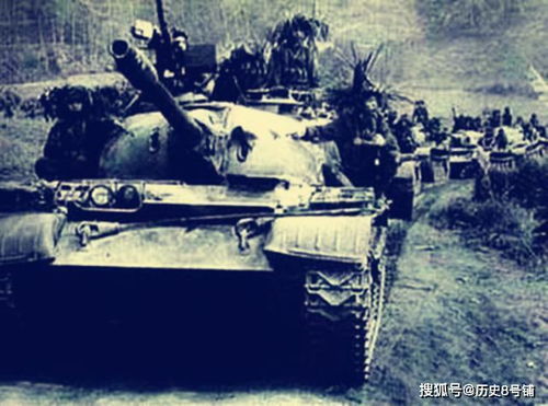 生肖暗战：谁才是夜幕下的主宰
