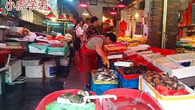 金阳海鲜市场环境：日照的“海鲜宝地”
