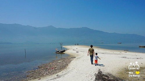 1.1 唐岛湾湿地公园：湿地？湿？湿