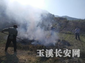 将凶狠土匪烧两天和放火烧山林分别指代哪个生肖？