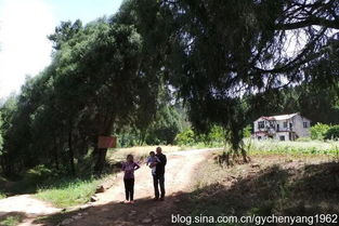 三、 翠云廊与拦马墙：那些柏树会说话