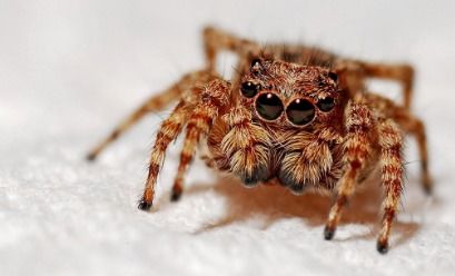 ① 星辰对照表（乱七八糟版）