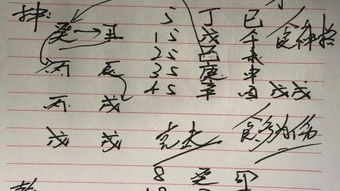 陈雨嘉八字命理分析，如何通过签名解读运势？